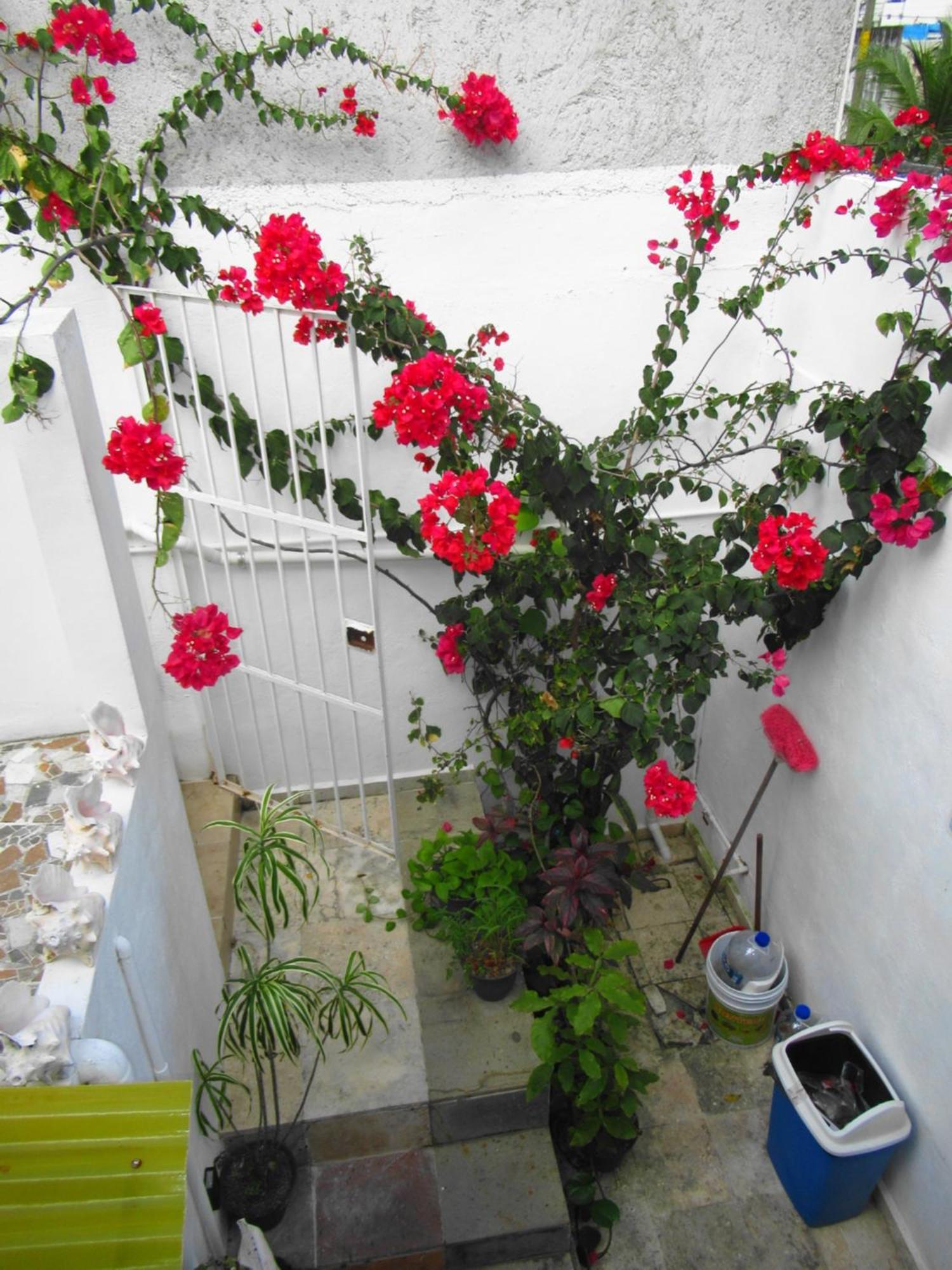 Cocos Apartman Cancún Kültér fotó