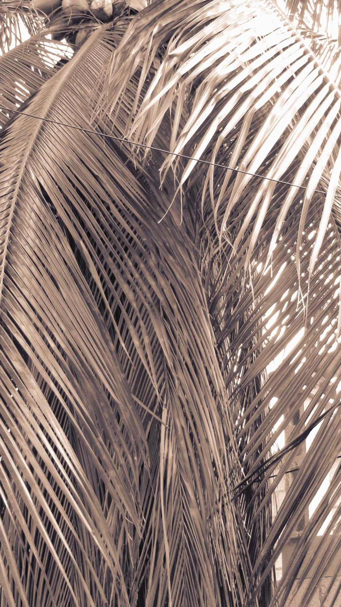 Cocos Apartman Cancún Kültér fotó
